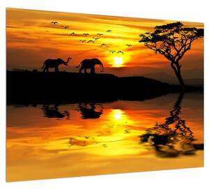 Afrikai tájkép és elefánt képe (70x50 cm)