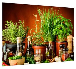 Gyógynövények és fűszerek képe (70x50 cm)