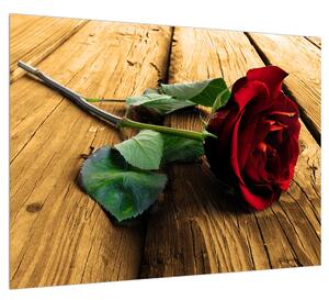 Rózsa kép (70x50 cm)