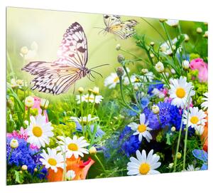 Nyári virágok és a lepke képe (70x50 cm)