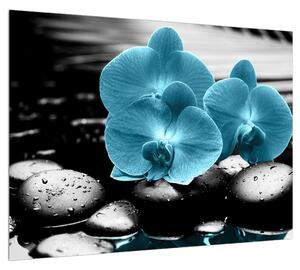 Kék orchidea képe (70x50 cm)