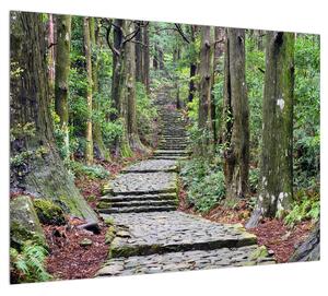 Kő lépcsők az erdőben (70x50 cm)