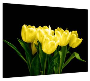 Sárga tulipánok képe (70x50 cm)