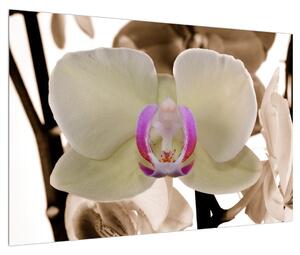 Orchideák képe (90x60 cm)