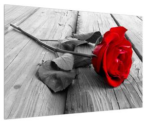 Vörös rózsa képe (90x60 cm)