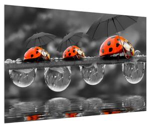 Katicabogarak esernyőkkel (90x60 cm)