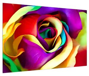 Szines kép absztrakt rózsa (90x60 cm)