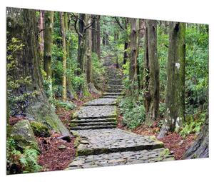 Kő lépcsők az erdőben (90x60 cm)