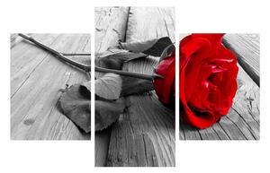Vörös rózsa képe (90x60 cm)