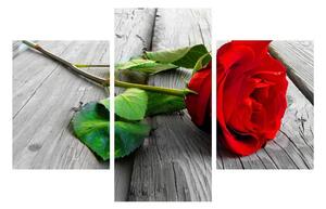 Piros rózsa képe (90x60 cm)