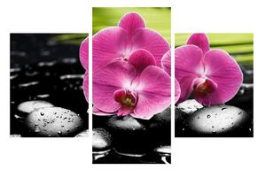 Orchidea virágok képe (90x60 cm)
