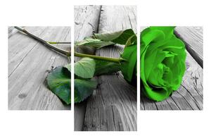 Zöld rózsa kép (90x60 cm)