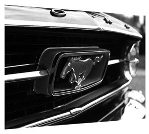 Mustang részletes képe (70x50 cm)