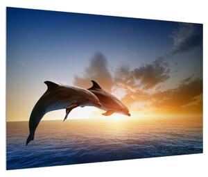Delfinek képe (90x60 cm)
