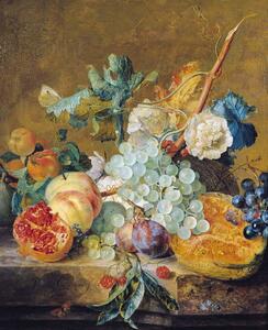 Jan van Huysum - Festmény reprodukció Flowers and Fruit, (35 x 40 cm)