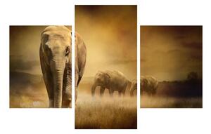 Elefánt képe (90x60 cm)