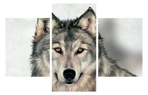 Farkas képe (90x60 cm)