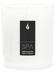 SPA Plumeria illatgyertya, égési idő 62 óra - Parks Candles London