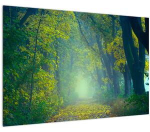 Fákkal szegélyezett út képe (90x60 cm)