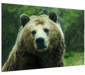 Medve képe (90x60 cm)