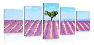 5 részes kép provence-i levandula mező