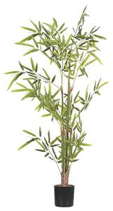 Műnövény BAMBUSA VULGARIS 100 cm Zöld