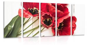 5-részes kép tulipán virágok