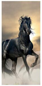 Fotótapéta ajtóra - Fekete ló (95x205cm)