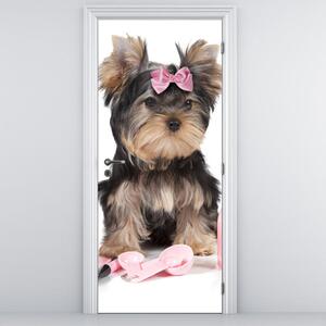 Fotótapéta ajtóra - kis kutya (95x205cm)
