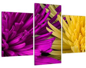 Kép - virág részlet (90x60 cm)