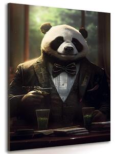 Kép állat gengszter panda