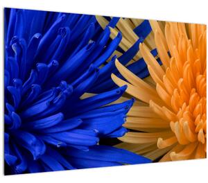 Részletes virágkép (90x60 cm)