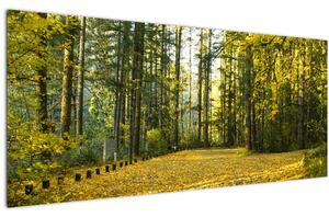 Kép - erdő ősszel (120x50 cm)