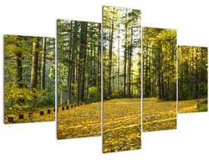 Kép - erdő ősszel (150x105 cm)