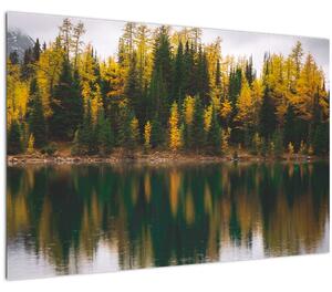 Erdei tó képe (90x60 cm)