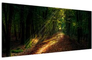 Erdei út képe (120x50 cm)