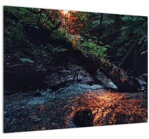 Hegyi folyó képe (70x50 cm)
