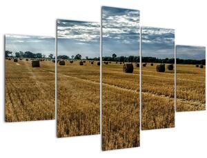 Betakarított gabona mező képe (150x105 cm)