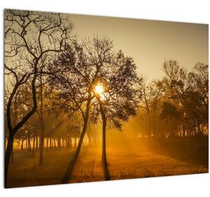 Napkelte kép (70x50 cm)