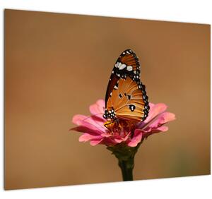 Pillangó képe a virágon (70x50 cm)