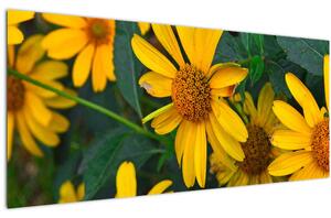 Sárga virágok képe (120x50 cm)