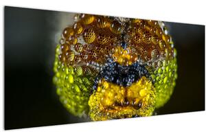 Részletes kép a rovar szemről (120x50 cm)