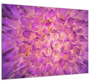 Részletes virágkép (70x50 cm)