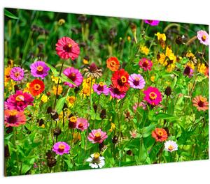 Réti virágok képe (90x60 cm)