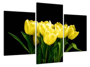 Modern kép - virágok (90x60cm)
