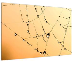 Egy harmatos pókháló képe (90x60 cm)