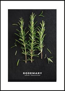 Kép 50x70 cm Rosemary – Styler