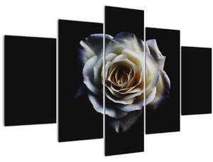 Fehér rózsa képe (150x105 cm)
