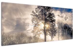 Fa a ködben képe (120x50 cm)
