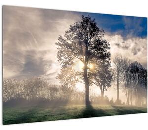 Fa a ködben képe (90x60 cm)